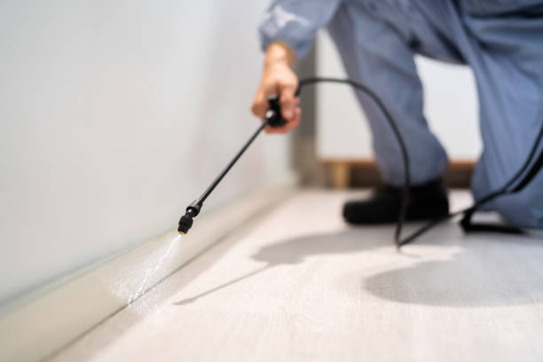 Licensed Mosquito Control service in Plano, TX - Show Me Pest Control