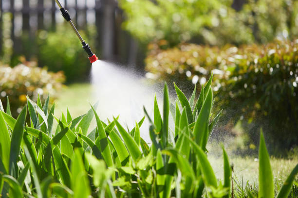 24/7 Emergency Mosquito Control experts in Plano, TX