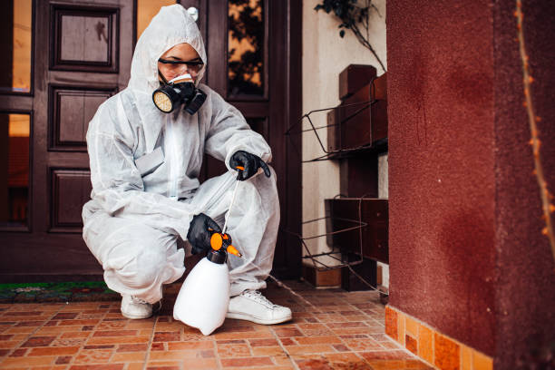 Reliable Mosquito Control contractor in Plano, TX by Show Me Pest Control