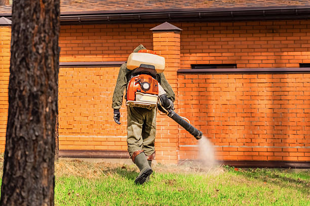 Top rated local Mosquito Control specialists in Plano, TX